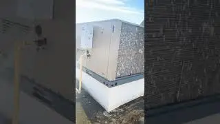 Perfect spike trap door to catch pigeons