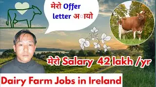 ireland work permit visa from nepal | ireland working visa for nepali | dairy farm jobs in ireland
