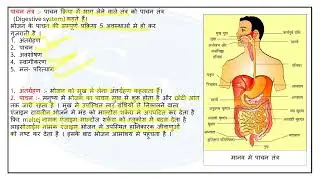 Manushya me Pachan Tantra ll मनुष्य में पाचन तंत्र ll Digestive system ll  Class 10 NCERT Biology