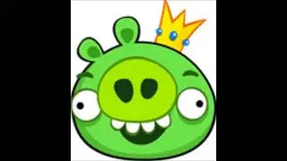 Angry birds Pigs Laughing