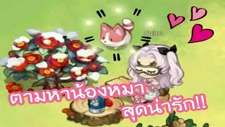 ตามหาน้องหมาสุดน่ารัก!! | 놀러와마이홈 | Poppy Ladygamers