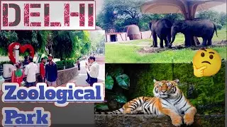 Delhi Zoo Amazing Experience | Delhi Zoo On-line Ticket Process