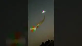 Flower string delta kite patang