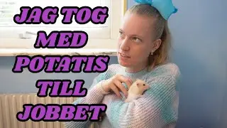 Vlogg | Det blev krig istället