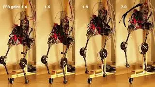 Bio-inspired neuromuscular reflex based hopping controller for a segmented robotic leg