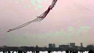 Alster-Eis kites1.MOV