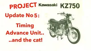 KZ750 Timing Advance Unit and the Cat