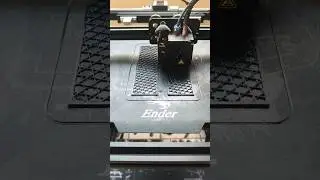 3D Printer by Creality Ender 5 pro for Cat food ant prevention system   #3dprinting #diy