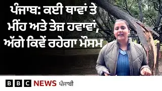 Weather: ਪੰਜਾਬ ਅਤੇ ਹੋਰ ਥਾਵਾਂ 'ਤੇ ਪਿਆ ਮੀਂਹ ਸਿਹਤ ਅਤੇ ਫ਼ਸਲਾਂ ਉੱਪਰ ਕੀ ਅਸਰ ਪਾਵੇਗਾ | 𝐁𝐁𝐂 𝐏𝐔𝐍𝐉𝐀𝐁𝐈