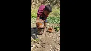 Unique Clay Pot Fishing | Hunting Fish with Old Clay Pot | Primitive Fishing Technology