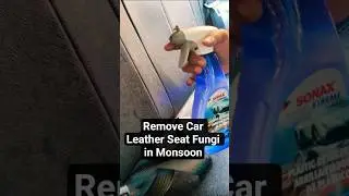 Remove Car Leather Seat Fungi in Monsoon with Sonax #shorts