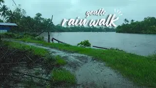 Village & Countryside Journey for Sleep & Focus |  ASMR Gentle Rain Walk Compilation for Relaxation