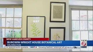 'Growing Natives' botanical art gallery on display at Burgwin-Wright House