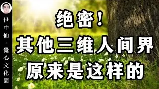 世中仙 | 绝密！其他三维人间界原来是这样的