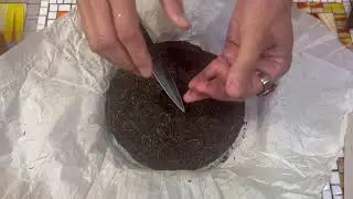 Tea Club Dispatch | ASMR Puerh Cake 