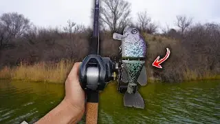 Tossing BIG Swimbaits for Early Season Bass! (Braidwood Lake 2024)