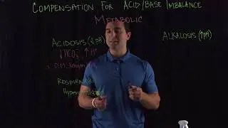 Compensation for Acid:Base Imbalance Metabolic