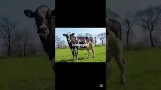 rolnictwo nic cie nie nauczy #wbijsię #rolnictwo #farming #automobile #viral #agro #oporowo