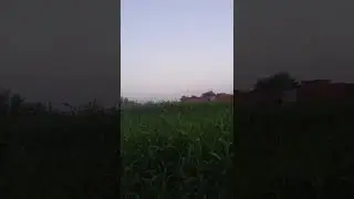 chuhan vlog 2022 9 4