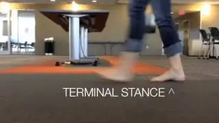 MTP ROM Terminal stance - Preswing