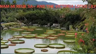 HOW TO ENJOY AN AFTERNOON WALK - NAM MI REUK SA TEMPLE ( GANGJIN GUN  CHONNAM)