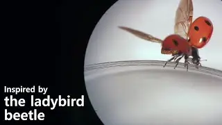Ladybird Beetle Inspired Compliant Origami and deployable wing module for multi-modal robot