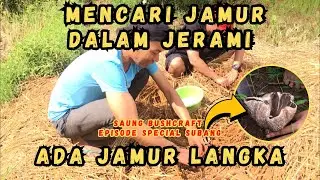 SAUNG BUSHCRAFT EPISODE SPECIAL | EXPLORE SAWAH KANG IBIN | #camping #jamurliar #explore #jawabarat 