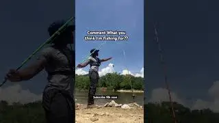Whole bream as bait?? #fishing #bassfishing #fish #funny #fypシ゚viral #shorts
