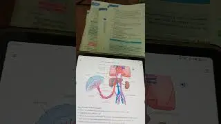 Ch 13 fetal and neonatal circulation, cardiovascular disorders, pediatrics pervez Akbar