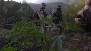 S10 E6: Cannabis Country Preview