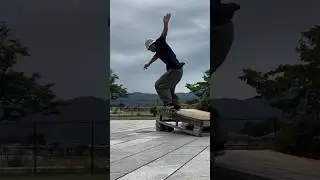Switch Bs Crooked Grind
