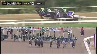 Slam Notion (Great Notion) - Maryland Million Sprint Stakes ($100,000) - Laurel Park