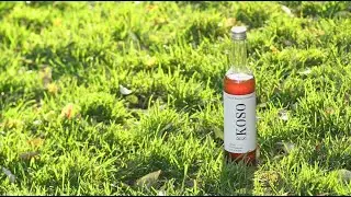 My Journey into Koso Cleanse - R's KOSO -