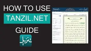 Tanzil.net Tutorial for Quran Translation Students | Root Words, Audio & Navigation Guide