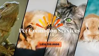 Compassionate Pet Cremation Services in Los Angeles | Pet Cremation Services of LA | Pick Up