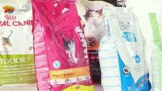 Comment choisir ses croquettes pour chats ?