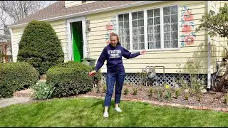 Trimming Hydrangeas,Zone 6 Blooms Survival Plan