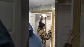 Earthquake Causing a Building to Shake as a Lady and a Guy Try to Keep Calm