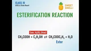Class10 Esterification Reaction l CBSE and State board CHEMISTRY | TalluriNagaRajutalks