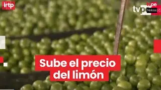 Precio del lim&oacute;n reporta un alza: &iquest;hasta cu&aacute;ndo durar&aacute; este aumento?