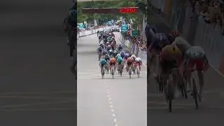 Second win in Malaysia for Matteo Malucelli!