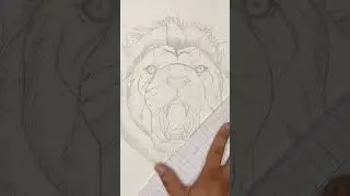 Drawing of Lion face | How to draw Lion