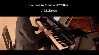 〈Day553〉Bourr&eacute;e in A minor KWV825 / J.L.Krebs