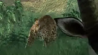 Leopard Attack