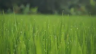 The Most Powerful Khutbah Opening | Classical Islamic Introduction