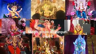 Maghi ganeshustav all mandal part 1#video #ganpatibappa #viral #maghiganpati 