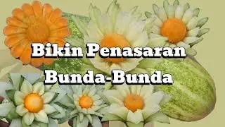 Pemula Belajar Ini Dulu