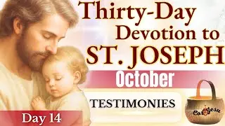 🔴🧺 THIRTY-DAY DEVOTION TO SAINT JOSEPH 🪵| OCTOBER 14 | TESTIMONIES Basket of SAINT JOSEPH