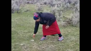 Traditional Smudging and Sage Harvesting