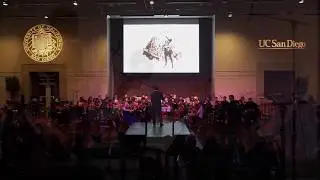 Bravely Default Suite &mdash; Mvt I: Tiz Arrior || The Intermission Orchestra: 2018 Concert
